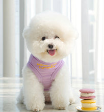 画像をギャラリービューアに読み込む, new メッセージタートルニット purple