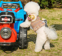 画像をギャラリービューアに読み込む, フラワーキャミソール yellow