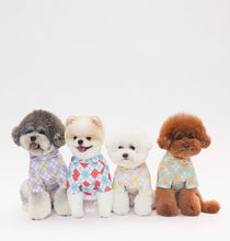 画像をギャラリービューアに読み込む, チェックカラートップス Orange