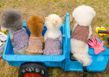 画像をギャラリービューアに読み込む, フラワーキャミソール red