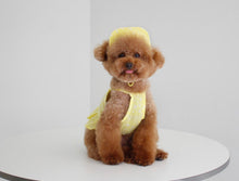 画像をギャラリービューアに読み込む, ペイズリーフリルシャツ yellow