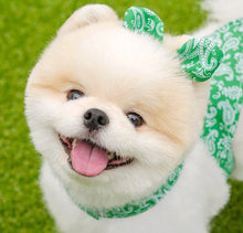 画像をギャラリービューアに読み込む, バンダナペイズリーリボン