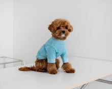 画像をギャラリービューアに読み込む, EUROPE tops LONDON