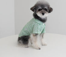 画像をギャラリービューアに読み込む, ペイズリーシャツ mint