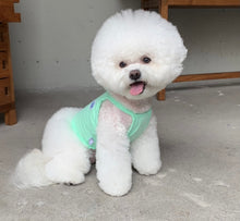 画像をギャラリービューアに読み込む, ネオンキャミソール mint