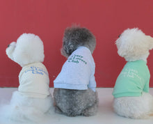 画像をギャラリービューアに読み込む, DOG lovers trainer baby mint