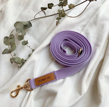 画像をギャラリービューアに読み込む, moodon ノーマルリード 15mm 20mm幅