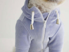 画像をギャラリービューアに読み込む, 予約 tropical velours hoodie AUTUMN BLUE