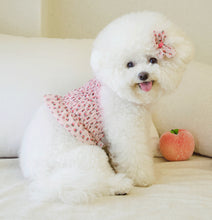 画像をギャラリービューアに読み込む, ピーチクロップキャミソールpink