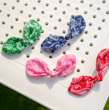 画像をギャラリービューアに読み込む, バンダナペイズリーリボン