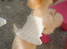 画像をギャラリービューアに読み込む, キャンディクロップトップス