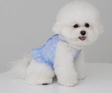 画像をギャラリービューアに読み込む, ペイズリーフリルシャツ sky