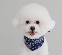 画像をギャラリービューアに読み込む, ペイズリーバンダナ