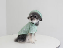 画像をギャラリービューアに読み込む, ペイズリーシャツ mint