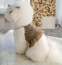 画像をギャラリービューアに読み込む, レオパードキャミソール brown