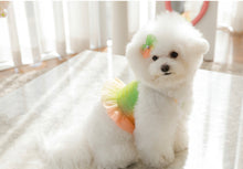 画像をギャラリービューアに読み込む, レインボーキャンディクロップトップス