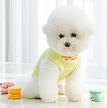 画像をギャラリービューアに読み込む, new メッセージタートルニット yellow