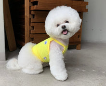 画像をギャラリービューアに読み込む, ネオンキャミソール yellow