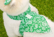 画像をギャラリービューアに読み込む, バンダナペイズリートップス green