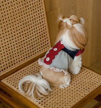 画像をギャラリービューアに読み込む, ピクニックニット vivid