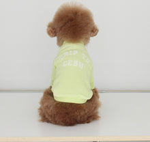 画像をギャラリービューアに読み込む, vacation tops lime