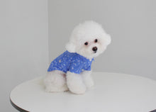 画像をギャラリービューアに読み込む, ペイズリーシャツ Blue