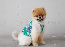 画像をギャラリービューアに読み込む, ボタニカルキャミソール green