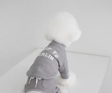 画像をギャラリービューアに読み込む, EUROPE rompers  BERLN