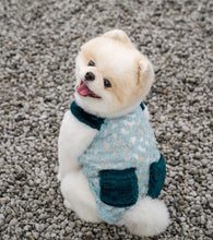 画像をギャラリービューアに読み込む, ファーレースワンピース green