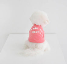 画像をギャラリービューアに読み込む, EUROPE tops SEOUL