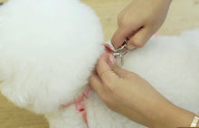 画像をギャラリービューアに読み込む, everyday lead