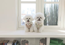 画像をギャラリービューアに読み込む, MILDPADDINGJUMPER green tea