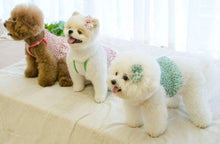 画像をギャラリービューアに読み込む, ピーチクロップキャミソール mintxpink