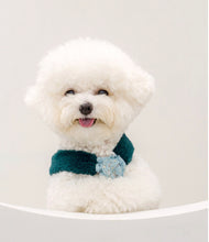 画像をギャラリービューアに読み込む, ファーレースワンピース green