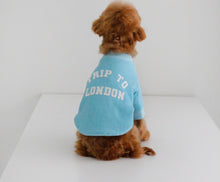 画像をギャラリービューアに読み込む, EUROPE tops LONDON