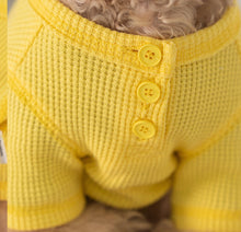 画像をギャラリービューアに読み込む, ワッフルトップス yellow