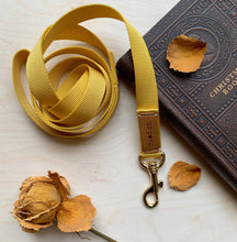 画像をギャラリービューアに読み込む, moodon ノーマルリード 30mm幅