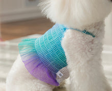 画像をギャラリービューアに読み込む, レインボーキャンディクロップトップス