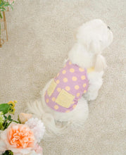 画像をギャラリービューアに読み込む, ドットファートップス