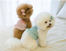 画像をギャラリービューアに読み込む, ピーチクロップキャミソール mint