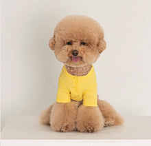 画像をギャラリービューアに読み込む, ワッフルトップス yellow