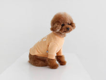 画像をギャラリービューアに読み込む, EUROPE tops PARIS