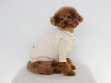 画像をギャラリービューアに読み込む, カラーリブトップス yellow