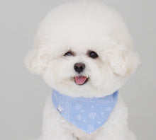 画像をギャラリービューアに読み込む, ペイズリーバンダナ