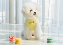 画像をギャラリービューアに読み込む, new メッセージタートルニット yellow