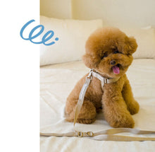 画像をギャラリービューアに読み込む, everyday lead