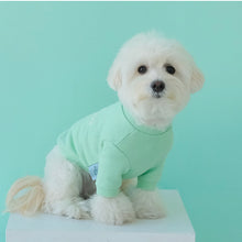 画像をギャラリービューアに読み込む, DOG lovers trainer baby mint