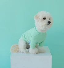 画像をギャラリービューアに読み込む, DOG lovers trainer baby mint