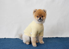 画像をギャラリービューアに読み込む, Rロゴトップス yellow