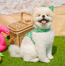 画像をギャラリービューアに読み込む, バンダナペイズリートップス green